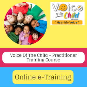 Voice Of The Child Practitioner Training